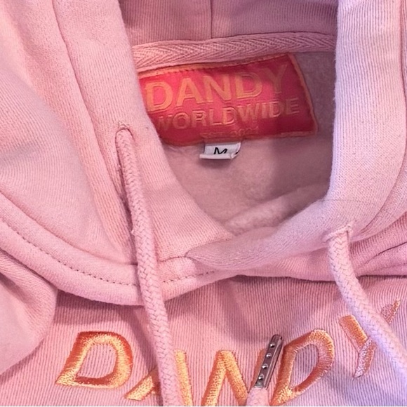 Dandy Worldwide “Let’s Watch The Sunset” Hoodie (original light pink color) Sz M - Picture 6 of 7